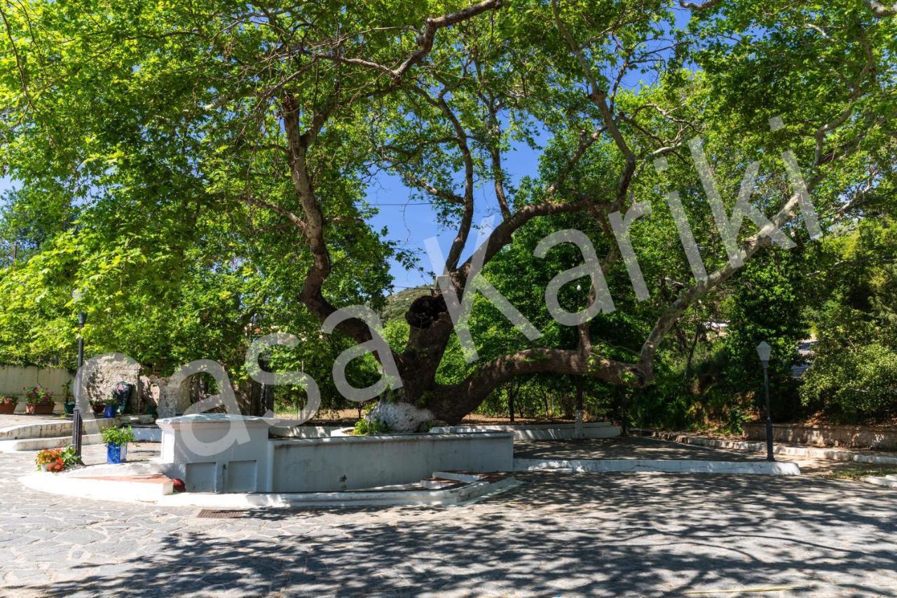 Villa Casa Kariki - Traditional House In Psinthos Exterior foto